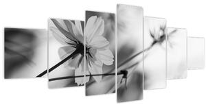 Obraz - Černobílé květiny (210x100 cm)