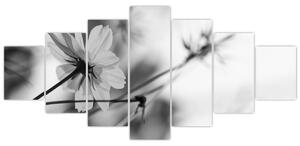 Obraz - Černobílé květiny (210x100 cm)
