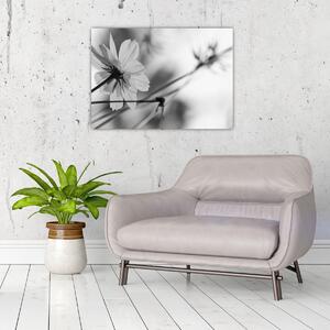 Obraz - Černobílé květiny (70x50 cm)