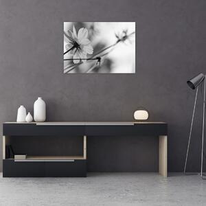 Obraz - Černobílé květiny (70x50 cm)