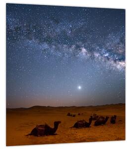 Obraz - Noc v poušti (30x30 cm)