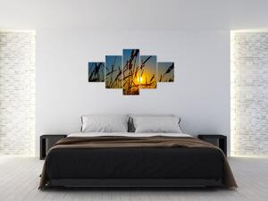 Obraz - Západ slunce v louce (125x70 cm)