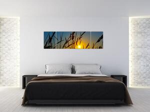Obraz - Západ slunce v louce (170x50 cm)