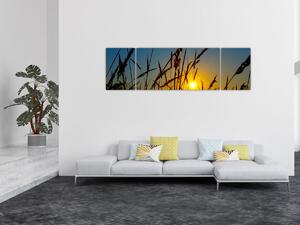Obraz - Západ slunce v louce (170x50 cm)