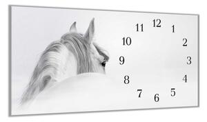 Nástěnné hodiny 30x60cm silueta koně v mlze - plexi