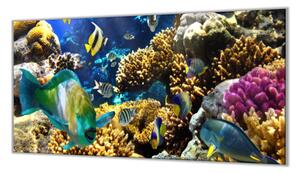 Ochranná deska mořský svět, korály, ryba - 52x60cm / S lepením na zeď