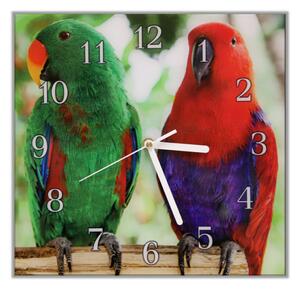 Nástěnné hodiny 30x30cm papoušek eclektus - plexi