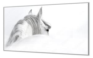 Ochranná deska silueta andaluského koně - 52x60cm / S lepením na zeď