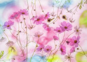 Umělecká fotografie Autumn dream, Miharu, (40 x 30 cm)