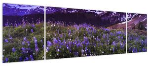 Obraz - Sopka a květiny (170x50 cm)