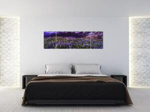 Obraz - Sopka a květiny (170x50 cm)