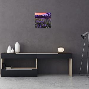 Obraz - Sopka a květiny (30x30 cm)