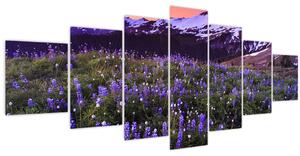 Obraz - Sopka a květiny (210x100 cm)
