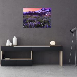 Obraz - Sopka a květiny (70x50 cm)
