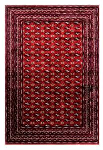 Vopi | Kusový koberec Abu Dhabi 6276 red - 80 x 150 cm