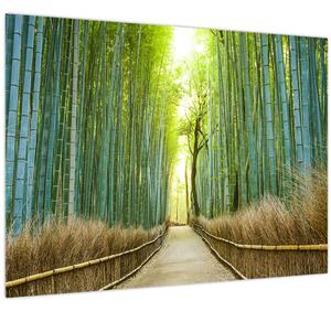 Obraz - Ulička s bambusy (70x50 cm)