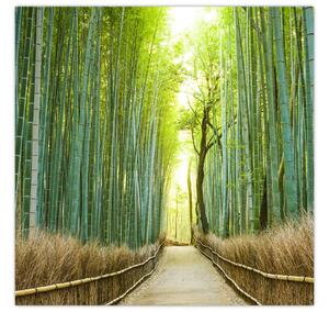Obraz - Ulička s bambusy (30x30 cm)