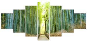 Obraz - Ulička s bambusy (210x100 cm)