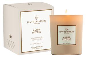 Plantes et Parfums de Provence Ambre Intense