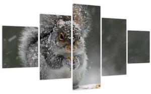 Obraz - Veverka v zimě (125x70 cm)