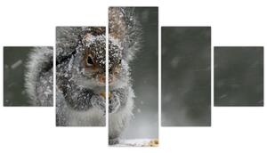 Obraz - Veverka v zimě (125x70 cm)