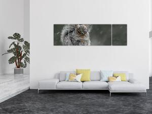 Obraz - Veverka v zimě (170x50 cm)