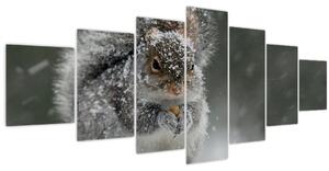 Obraz - Veverka v zimě (210x100 cm)
