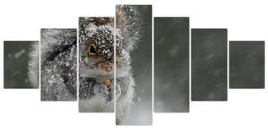Obraz - Veverka v zimě (210x100 cm)