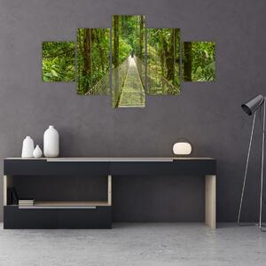 Obraz - Závěsný most (125x70 cm)