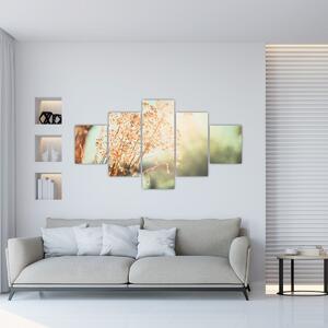 Obraz - Luční rostliny (125x70 cm)