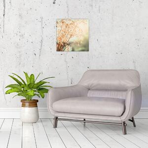 Obraz - Luční rostliny (30x30 cm)