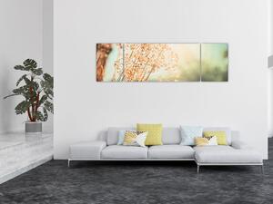 Obraz - Luční rostliny (170x50 cm)