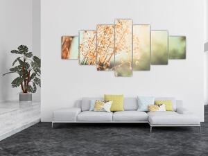 Obraz - Luční rostliny (210x100 cm)
