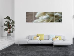 Obraz - Zaječí ocásek (170x50 cm)