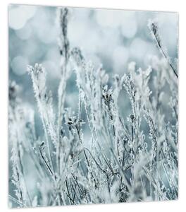 Obraz - Kouzlo zimy (30x30 cm)