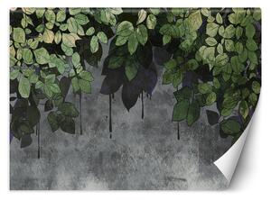 Fototapeta Zelené listy na betonovém pozadí Materiál: Vliesová, Rozměry: 200 x 140 cm