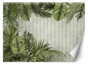 Fototapeta Zelené listy na pozadí z desek Materiál: Vliesová, Rozměry: 200 x 140 cm