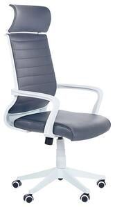 Kancelářská židle Leaza (šedá). 1080834