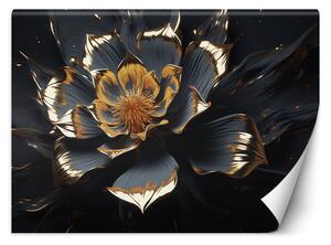 Fototapeta Zlatočerný květ Materiál: Vliesová, Rozměry: 200 x 140 cm