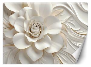 Fototapeta Krásná bílá růže Materiál: Vliesová, Rozměry: 200 x 140 cm