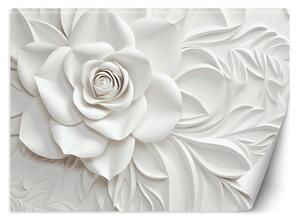 Fototapeta Nádherná bílá růže Materiál: Vliesová, Rozměry: 200 x 140 cm