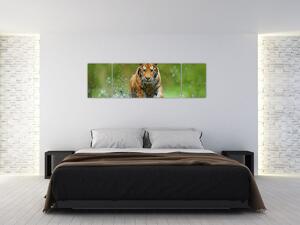 Obraz - Běžící tygr (170x50 cm)