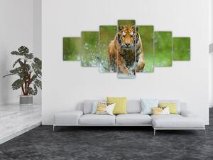 Obraz - Běžící tygr (210x100 cm)