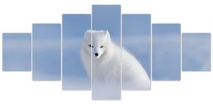 Obraz - Polární liška (210x100 cm)