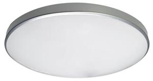 Stropní svítidlo ESLA bílá/stříbrná, průměr 30 cm