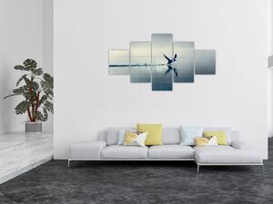 Obraz - Potáplice (125x70 cm)