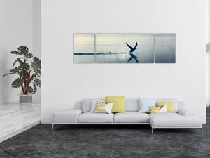 Obraz - Potáplice (170x50 cm)