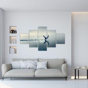 Obraz - Potáplice (125x70 cm)