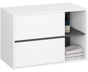 Skříňka pod umyvadlo VAMI W90 2SZ bílá / garafitová / šedá