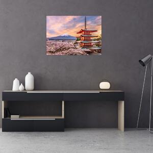 Obraz - Fudži, Japonsko (70x50 cm)